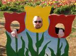 2007 Tulip Festival in Woodburn, OR